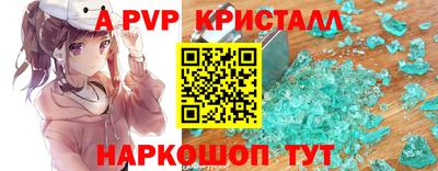 крисы Аргун