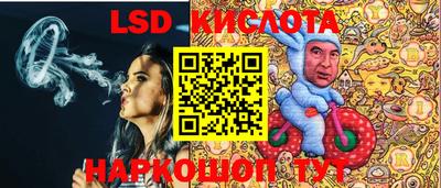 крисы Аргун