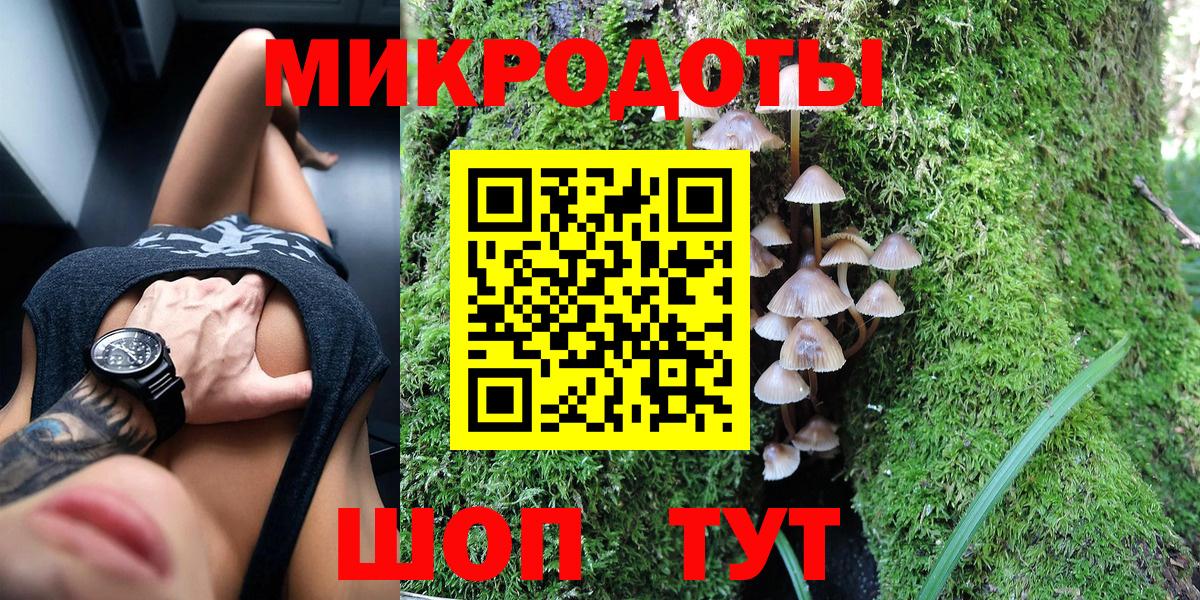 Великие Луки  Псилоцибиновые грибы Psilocybe  Вход с VPN 