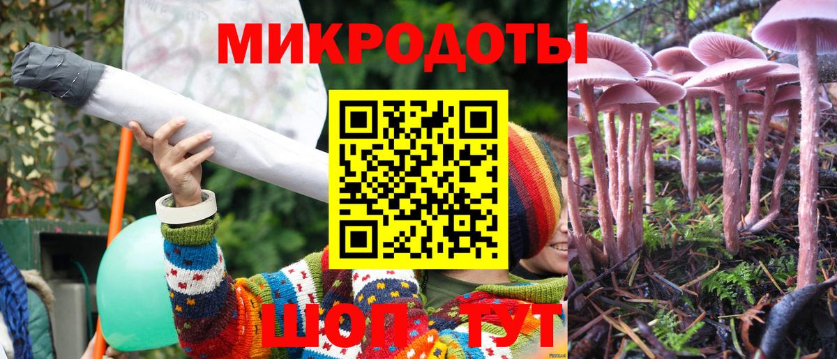 Псилоцибиновые грибы MAGIC MUSHROOMS Великие Луки